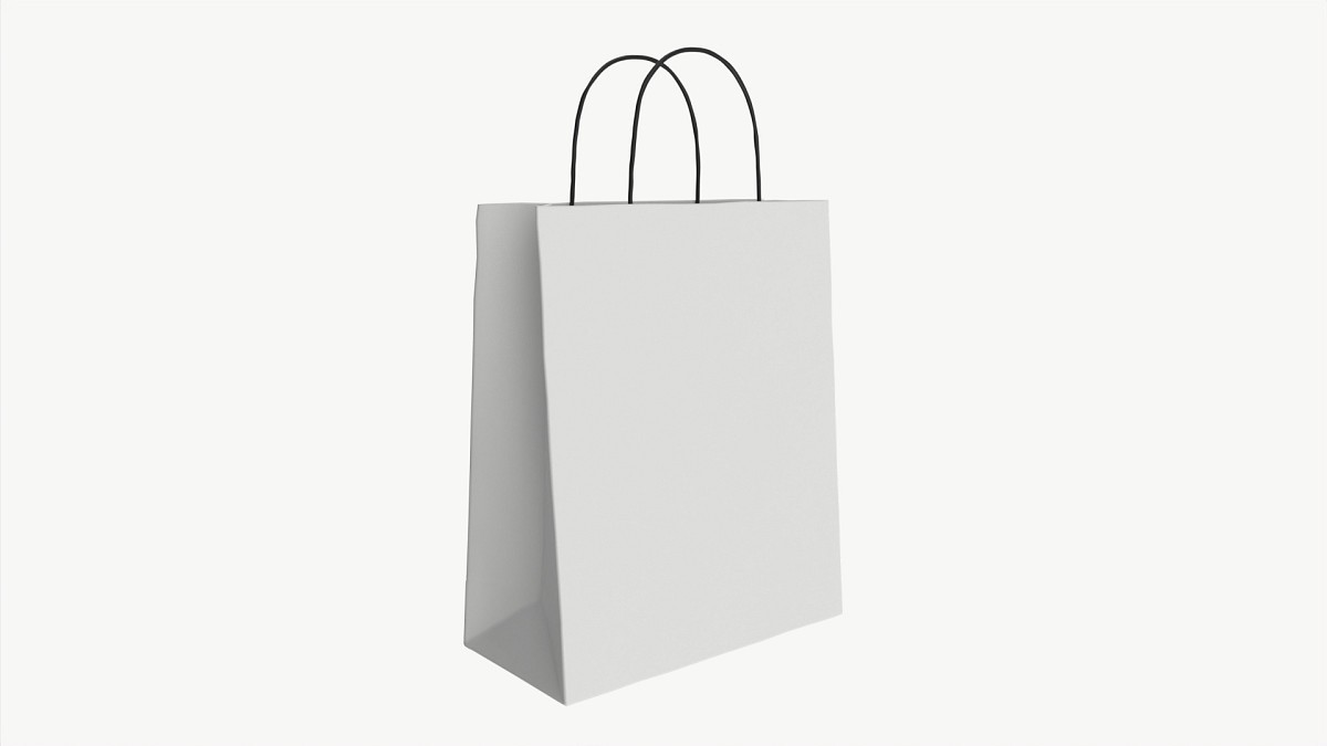 White paper bag with handles 3