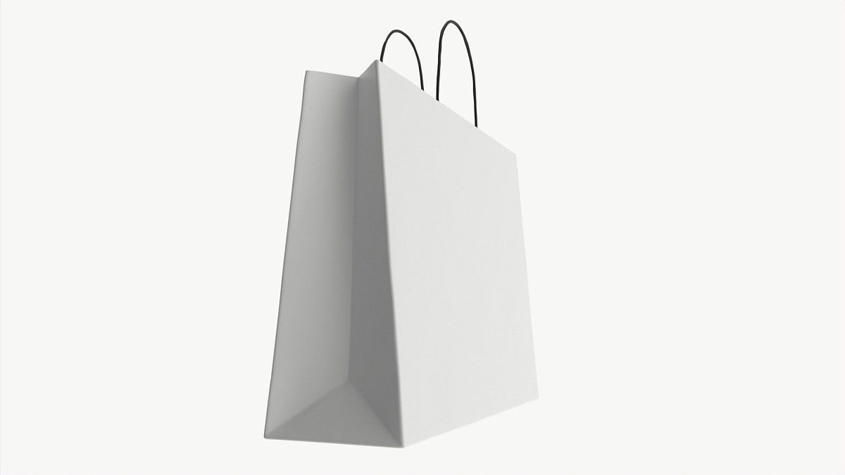 White paper bag with handles 4
