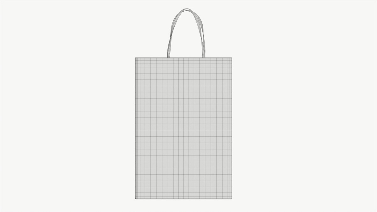 White paper bag with handles 1