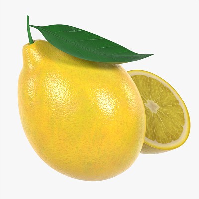 Fresh lemon slice leaf 02