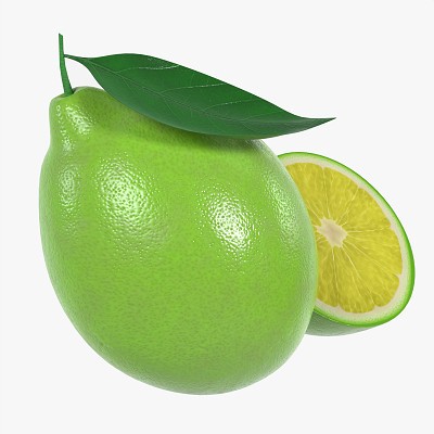 Fresh lemon slice green