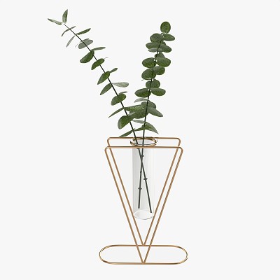 Glass hydroponic vase 01