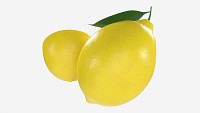Fresh lemon with slice and leaf yellow