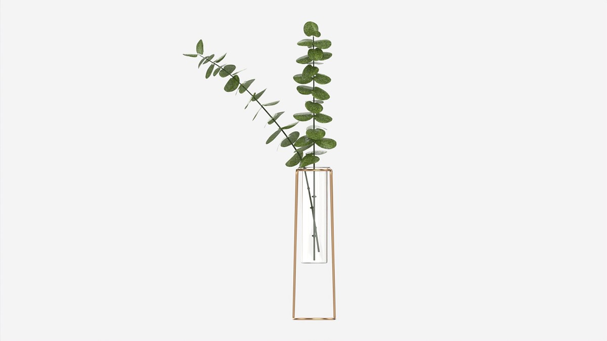 Glass hydroponic vase 01