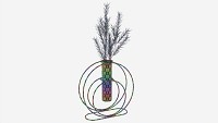 Glass hydroponic vase 02