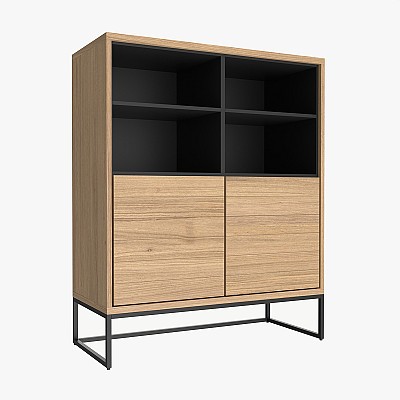 Cabinet with shelves 01