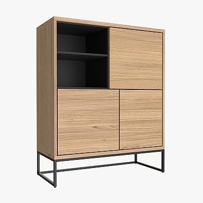 Cabinet with shelves 02
