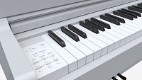 Digital piano musical instruments 07