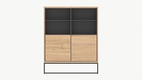Cabinet with shelves 01