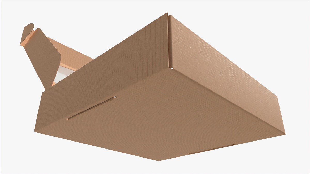 Corrugated Cardboard Box with Window 02 Open