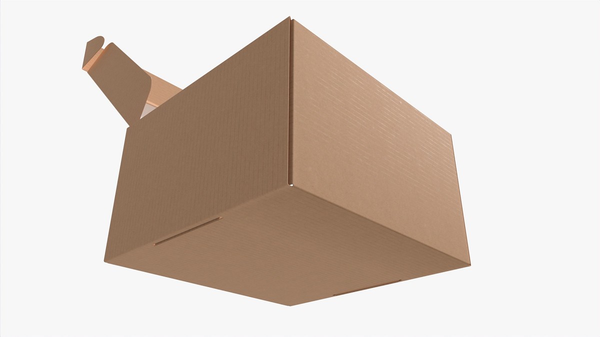 Corrugated Cardboard Box with Window 03 Open