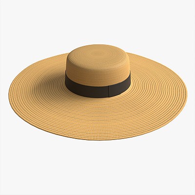 Wide Brim Hat for Women