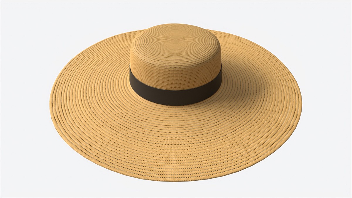 Wide Brim Straw Hat for Women