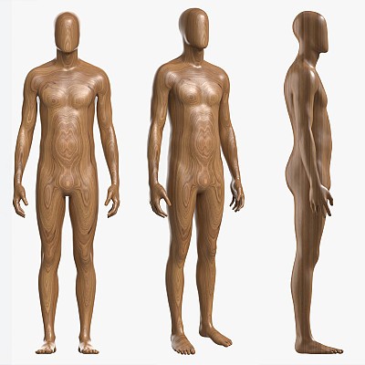 Male Mannequin Wooden