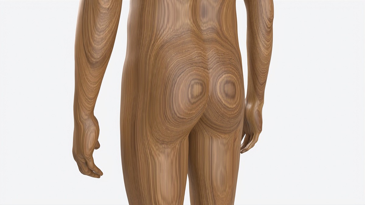 Male Full Body Mannequin Wooden