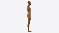 Male Full Body Mannequin Wooden