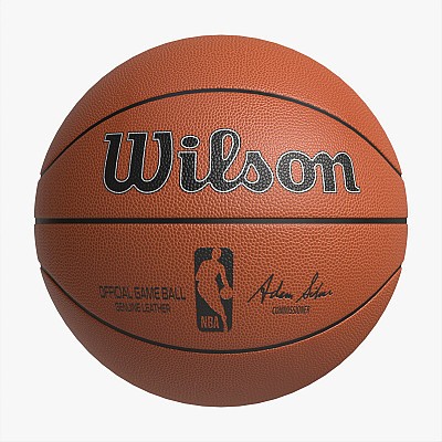Basketball Ball Wilson