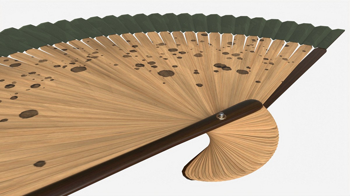 Japanese Bamboo Folding Hand Fan