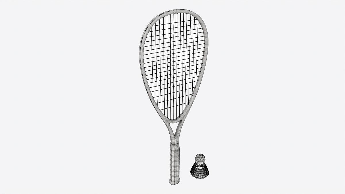 Speedminton Racquet with Shuttlecock