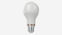 Led Bulb Smart Type A67