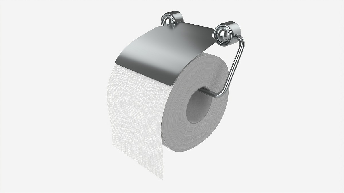 Toilet Paper Roll on Wall Mount 02