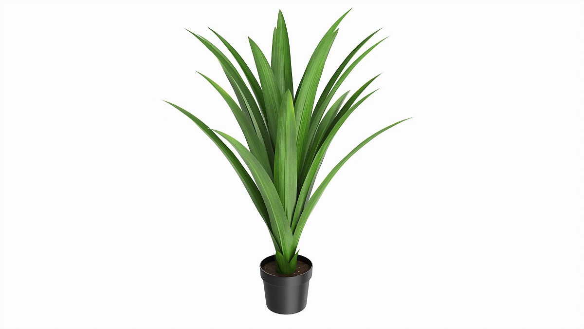 Artificial Yucca Plant in Pot