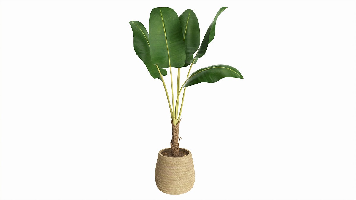 Baa artificial plant with plantpot