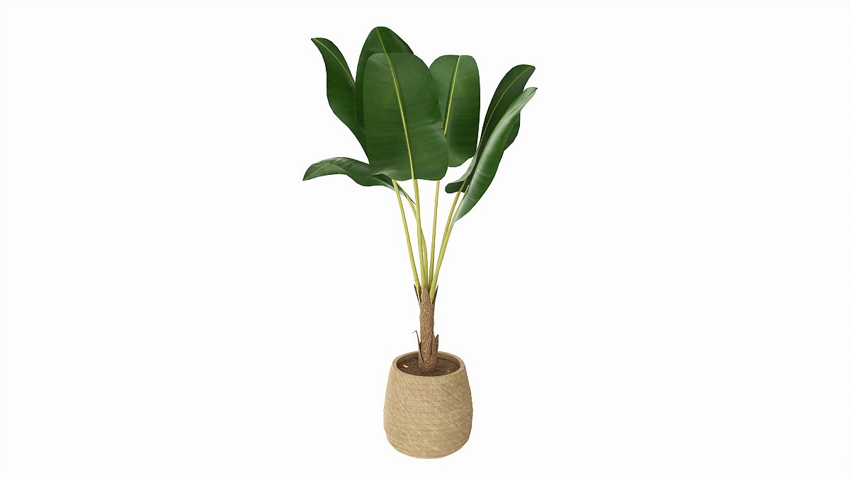 Baa artificial plant with plantpot