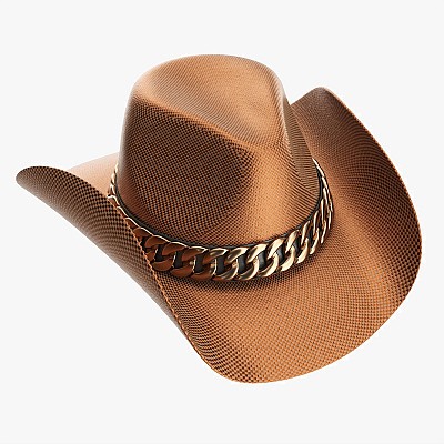 Woman cowboy metallic hat