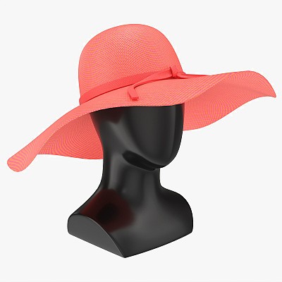 Head with Floppy hat