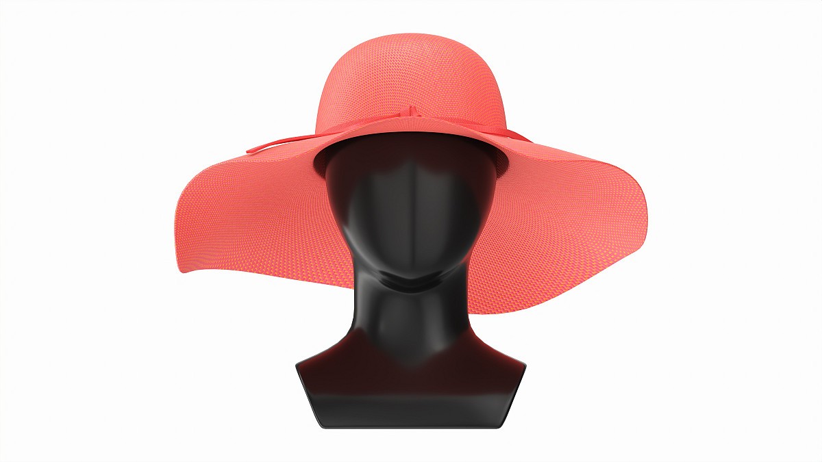 Store display mannequin head with Floppy hat