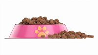 Cat food bowl pink with print