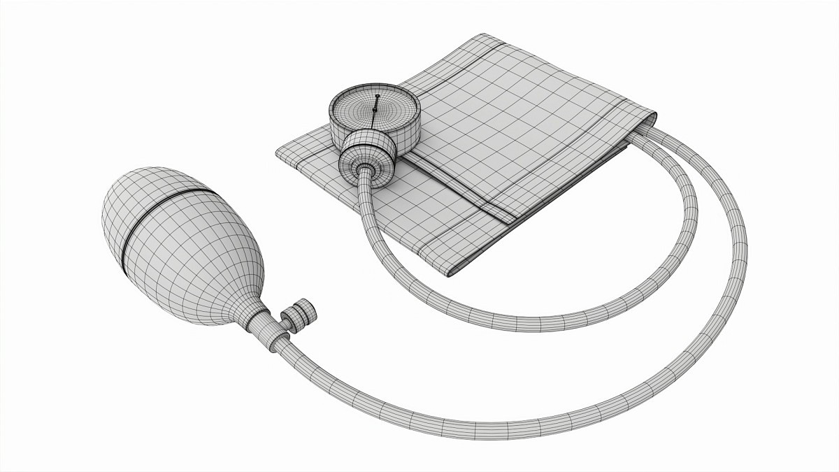 Portable Aneroid Sphygmomanometer with Nylon Cuff