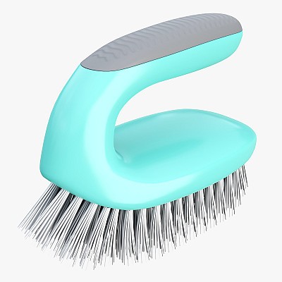 Domestic cleaning brush