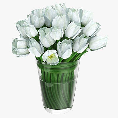 Tulips in large vase