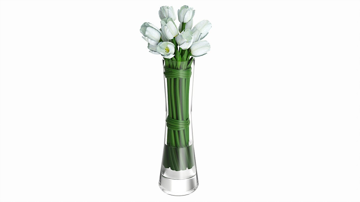 Tulips in long vase