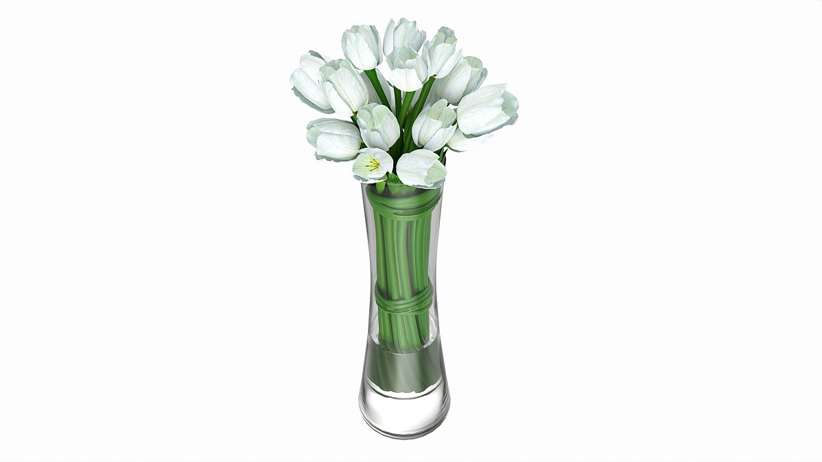 Tulips in long vase