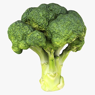 Broccoli