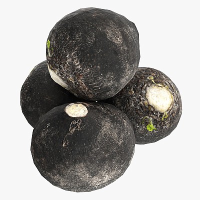 Black radish