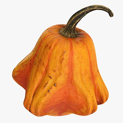 Crown-shaped pumpkin