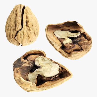 Walnut half