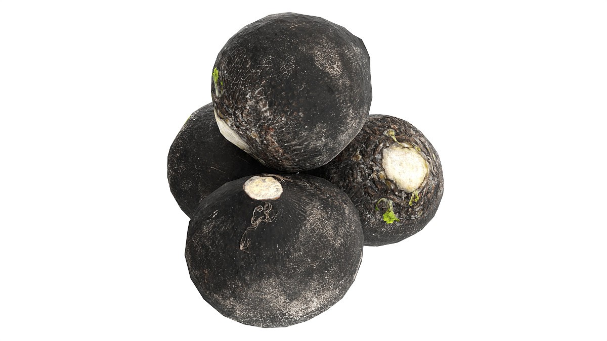 Black radish