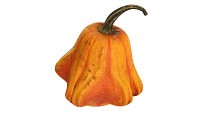 Crown-shaped pumpkin