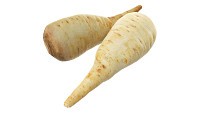 Parsnip