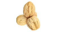 Walnut whole