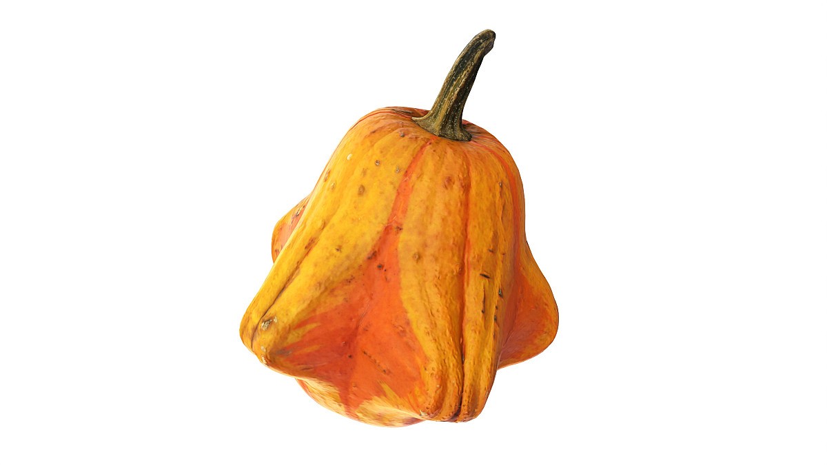 Crown-shaped pumpkin