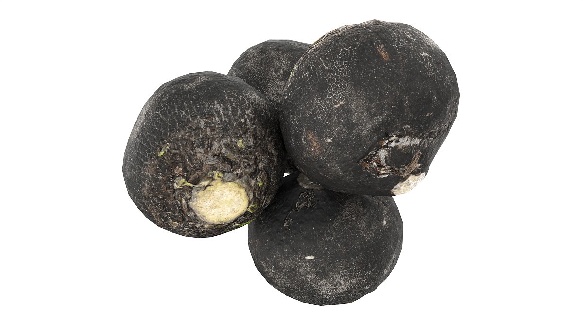 Black radish