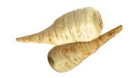 Parsnip