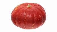 Red pumpkin