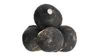 Black radish